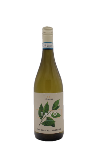 iLauri - Tavo Pinot Grigio delle Venezie